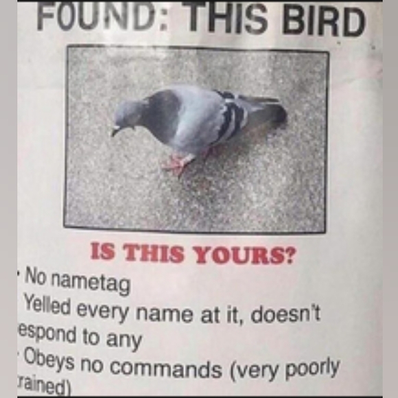 Please, feel free to send me an offer - Picture 1 of 10